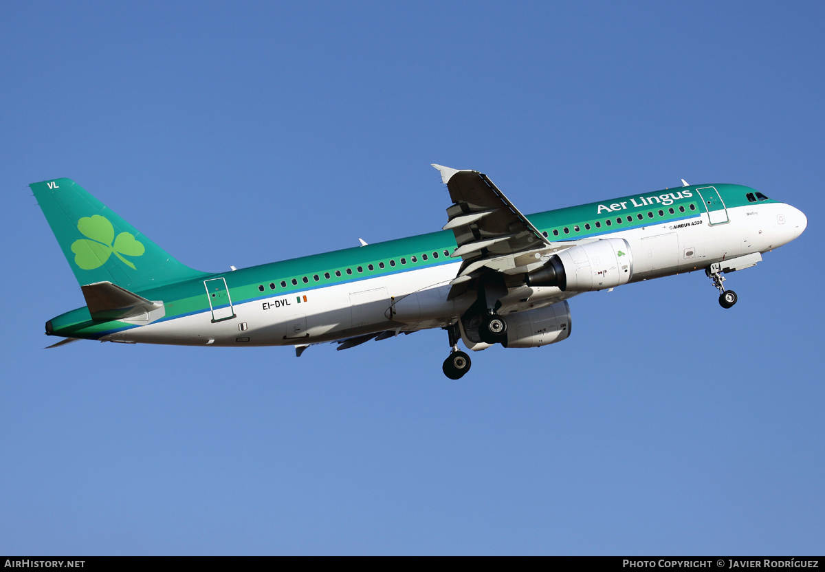 Aircraft Photo of EI-DVL | Airbus A320-214 | Aer Lingus | AirHistory.net #482219