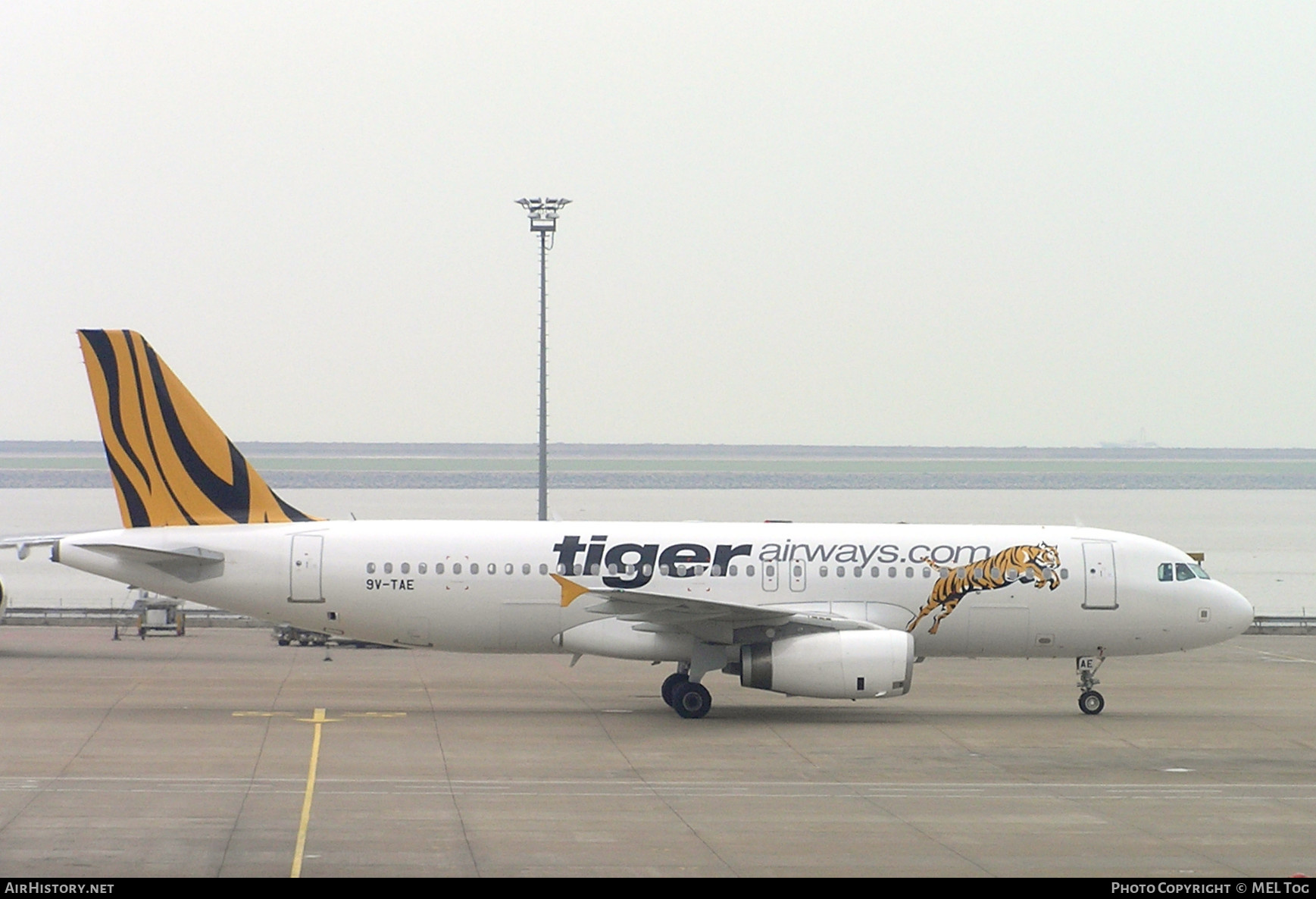 Aircraft Photo of 9V-TAE | Airbus A320-232 | Tiger Airways | AirHistory.net #483433