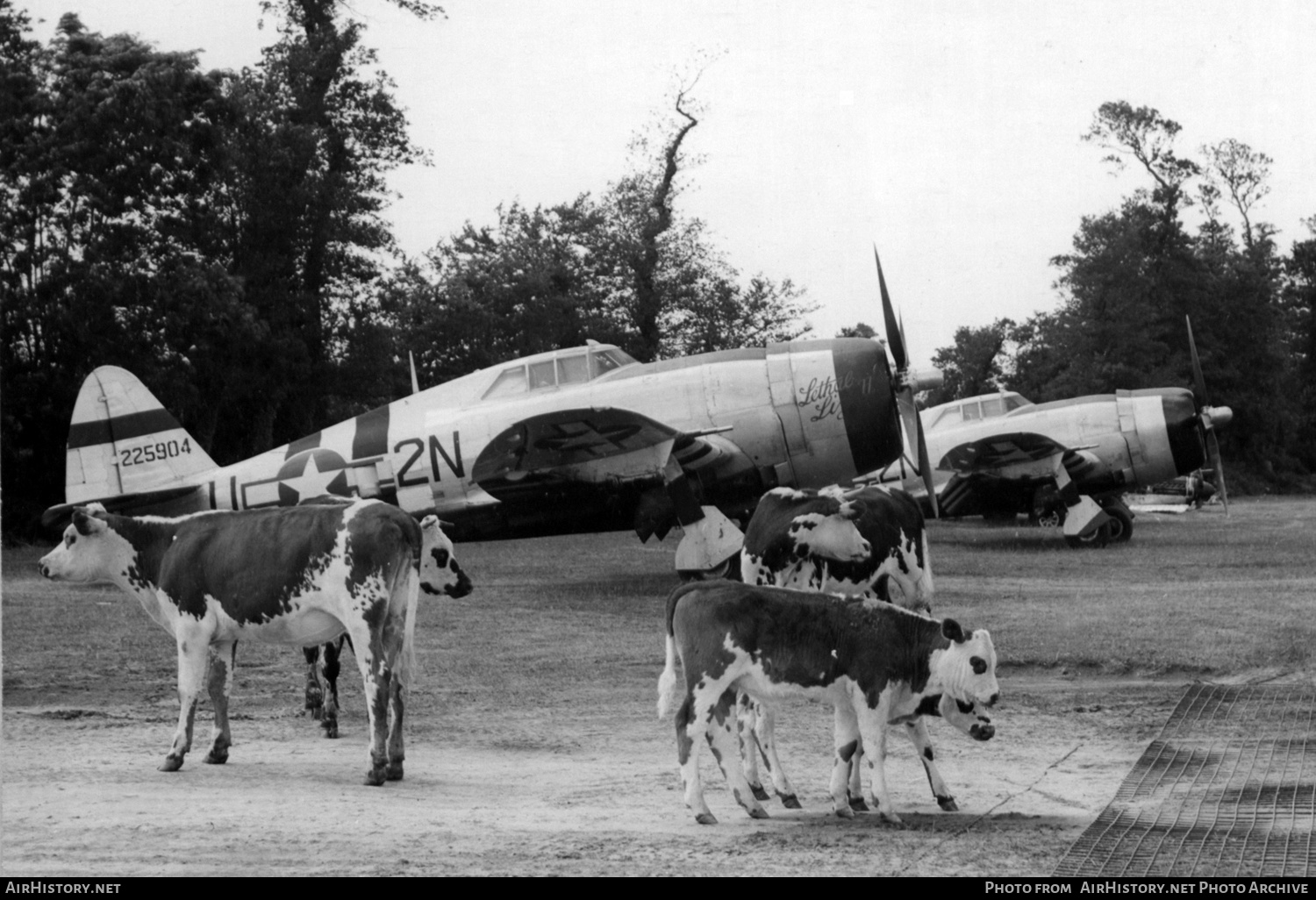 Aircraft Photo of 42-25904 / 225904 | Republic P-47D Thunderbolt | USA - Air Force | AirHistory.net #484006