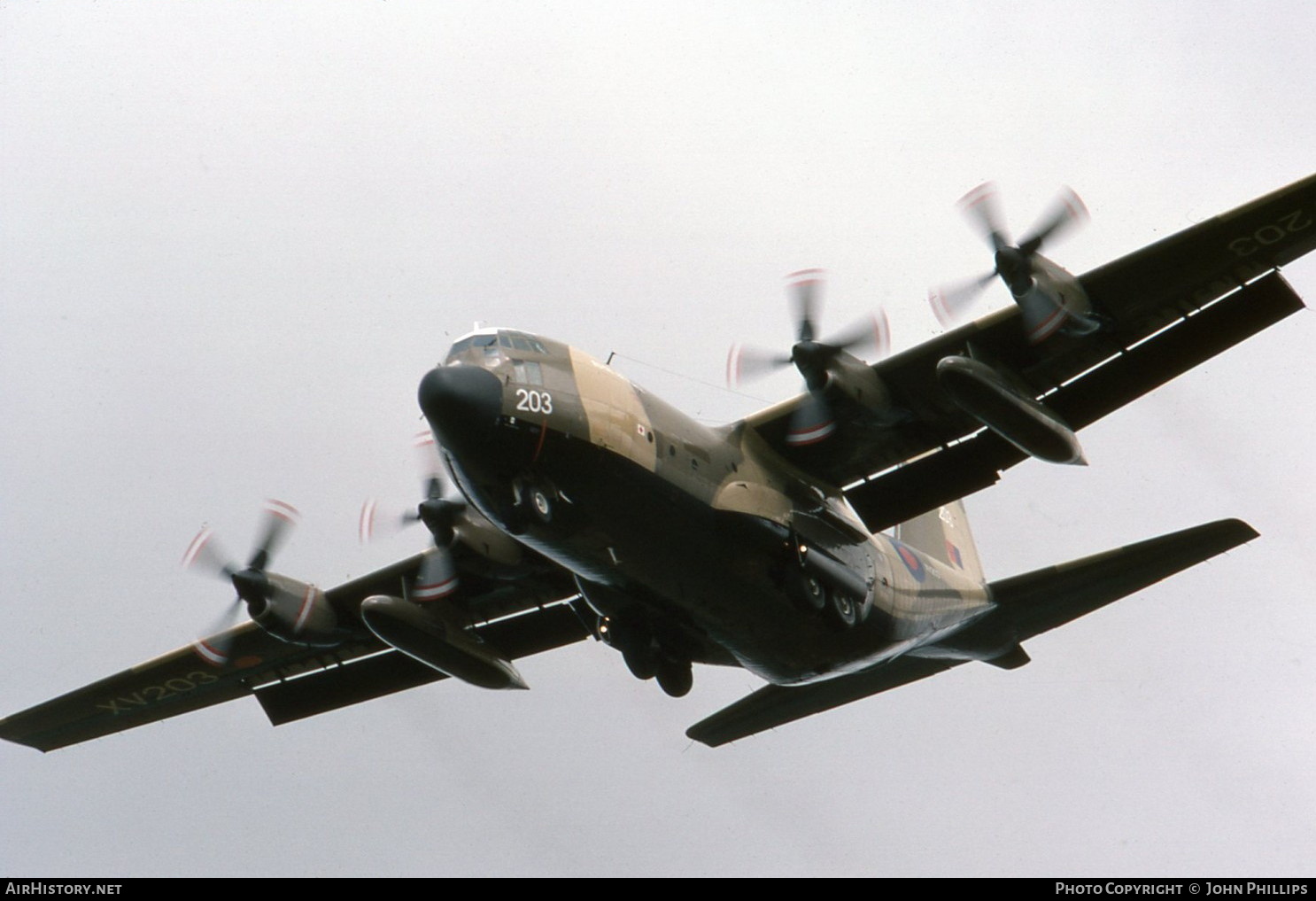 Aircraft Photo of XV203 | Lockheed C-130K Hercules C1 (L-382) | UK - Air Force | AirHistory.net #486401