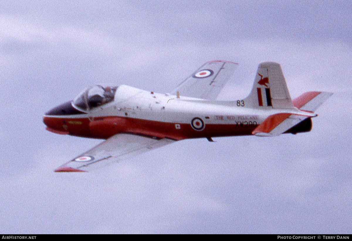 Aircraft Photo of XW290 | BAC 84 Jet Provost T5A | UK - Air Force | AirHistory.net #488083