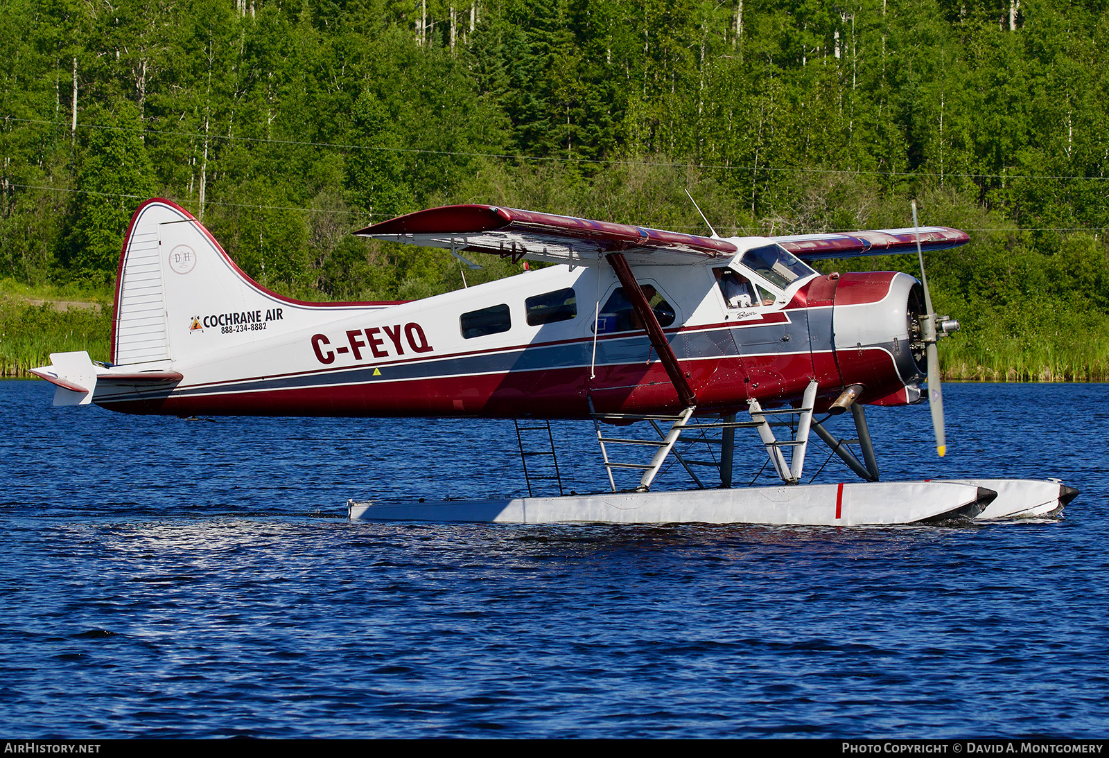 Aircraft Photo of C-FEYQ | De Havilland Canada DHC-2 Beaver Mk.1 | Cochrane Air Services | AirHistory.net #488909