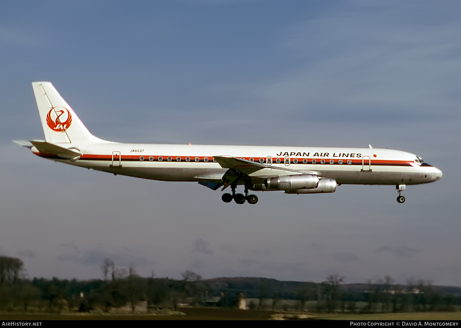 Aircraft Photo of JA8037 | McDonnell Douglas DC-8-62 | Japan Air Lines - JAL | AirHistory.net #489248