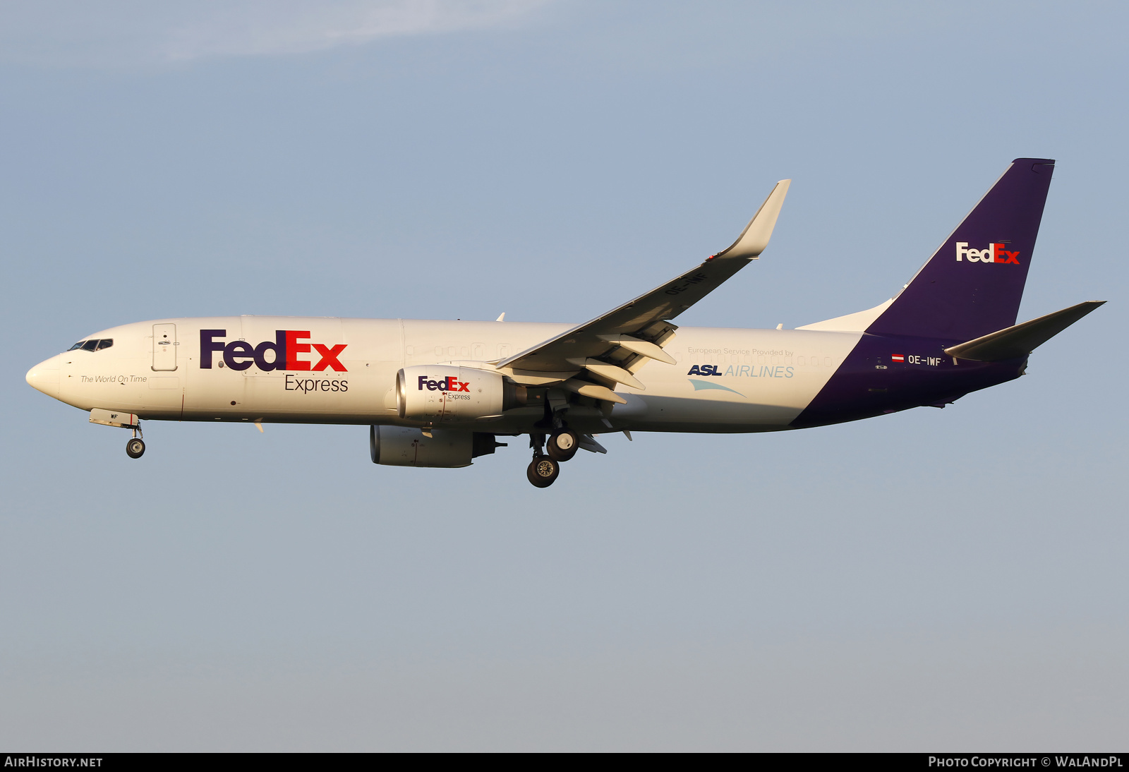 Aircraft Photo of OE-IWF | Boeing 737-8AS(BCF) | FedEx Express - Federal Express | AirHistory.net #490097