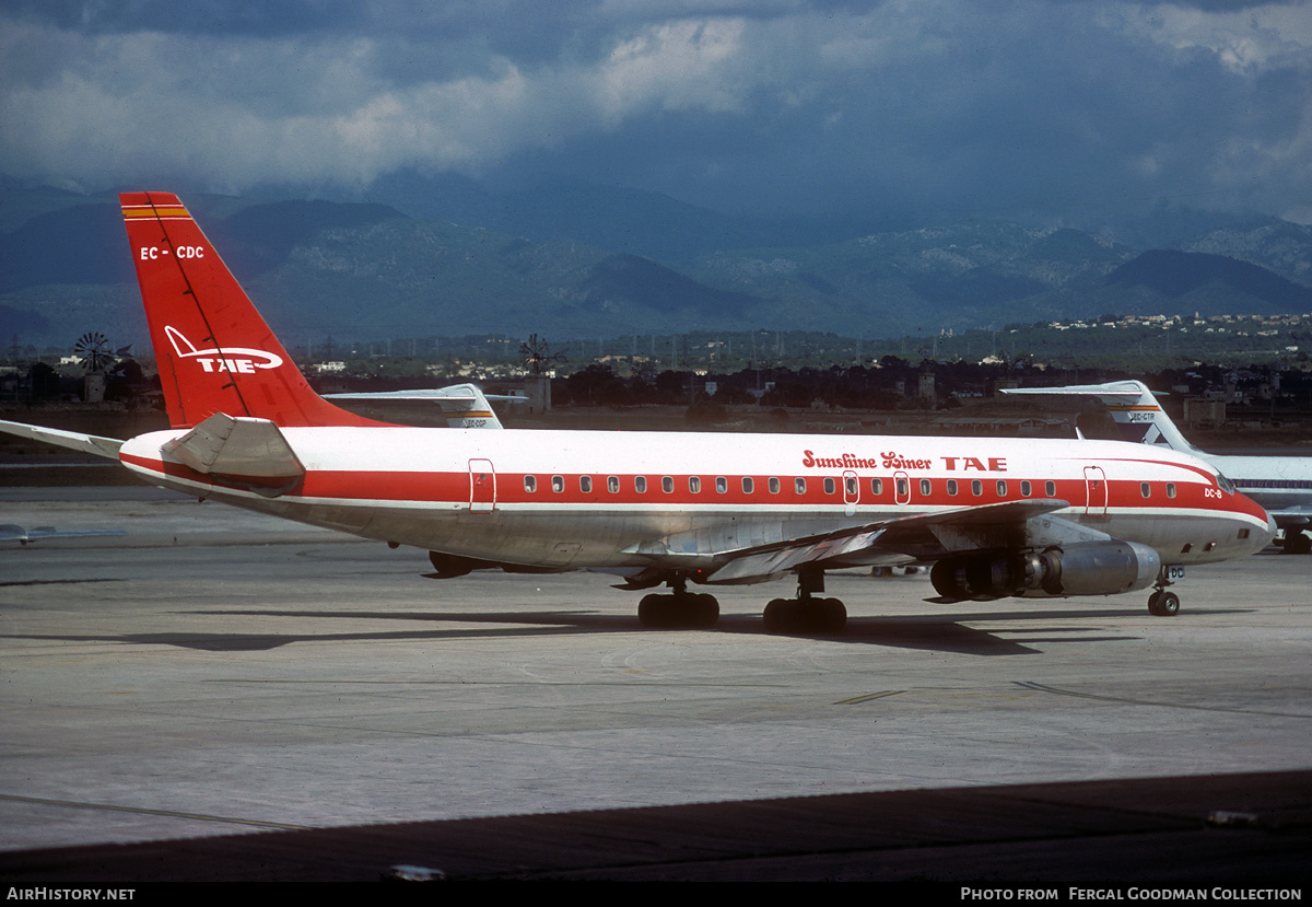 Aircraft Photo of EC-CDC | Douglas DC-8-33 | TAE - Trabajos Aéreos y Enlaces | AirHistory.net #491098