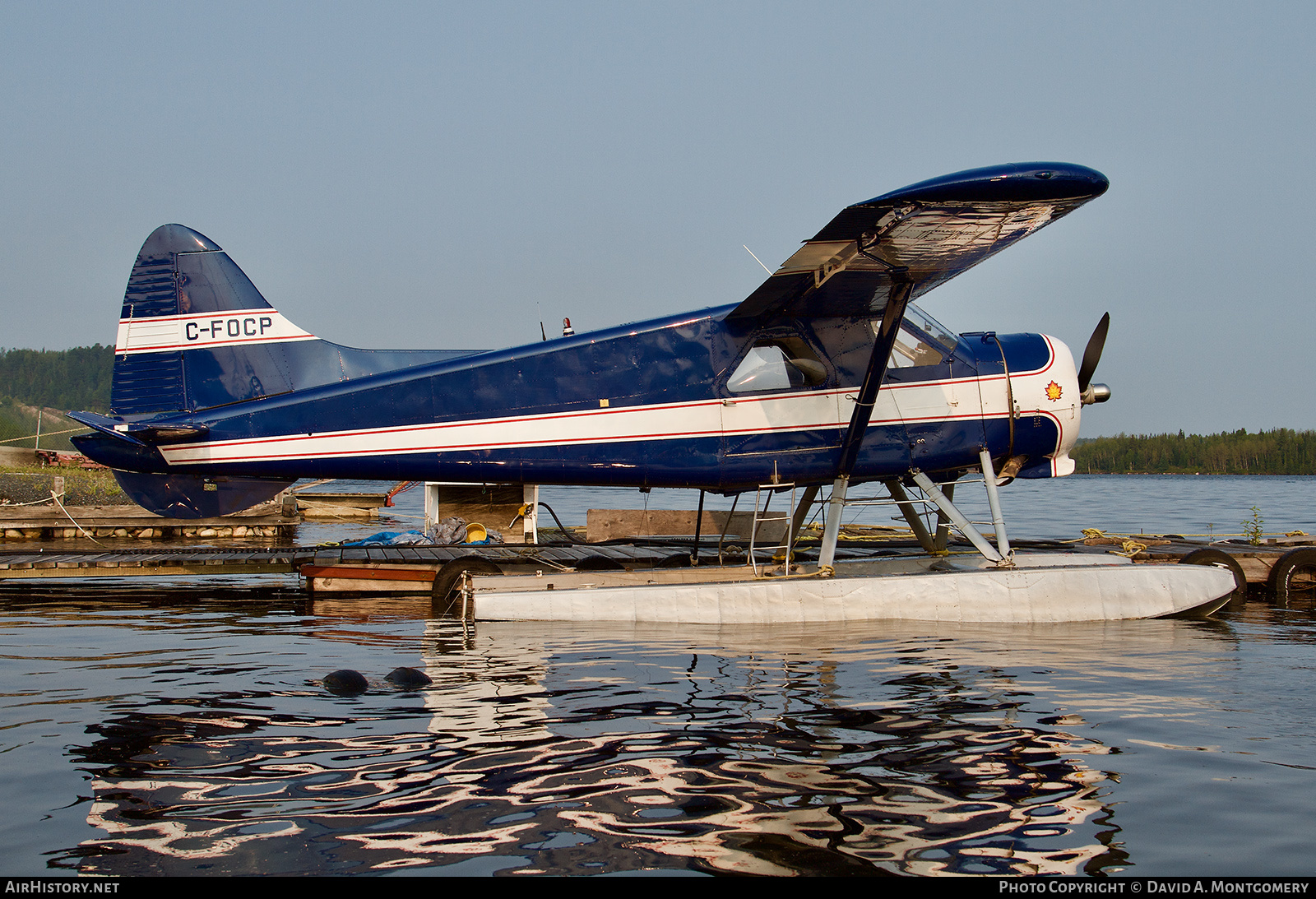 Aircraft Photo of C-FOCP | De Havilland Canada DHC-2 Beaver Mk.1 | AirHistory.net #491886