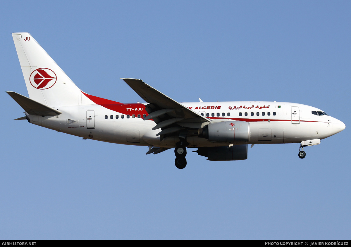Aircraft Photo of 7T-VJU | Boeing 737-6D6 | Air Algérie | AirHistory.net #493022