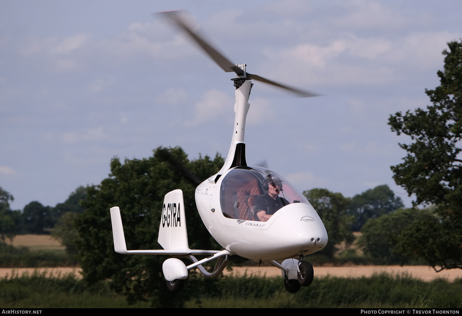 Aircraft Photo of G-GYRA | RotorSport UK Calidus | AirHistory.net #493309