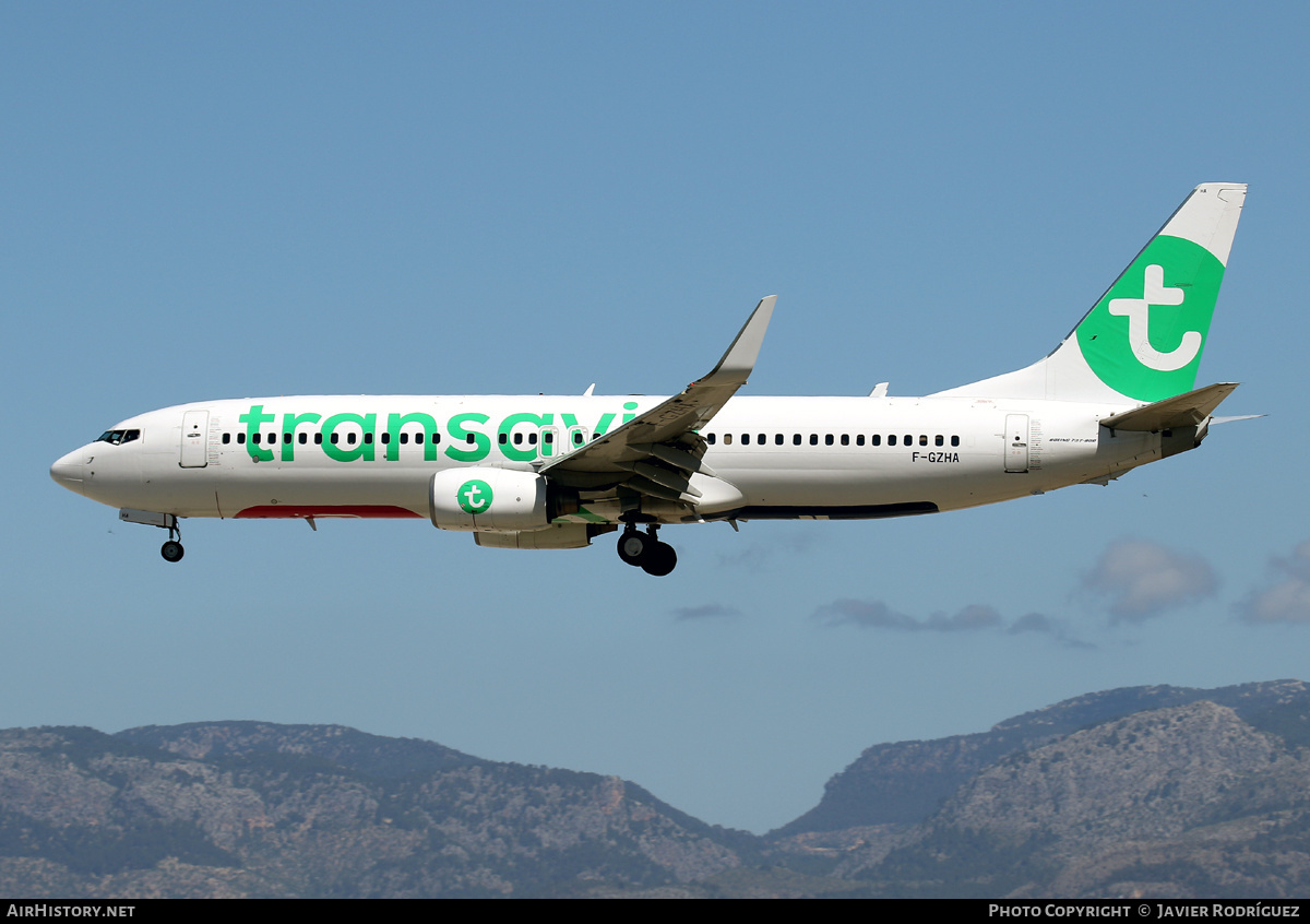 Aircraft Photo of F-GZHA | Boeing 737-8GJ | Transavia | AirHistory.net #493563