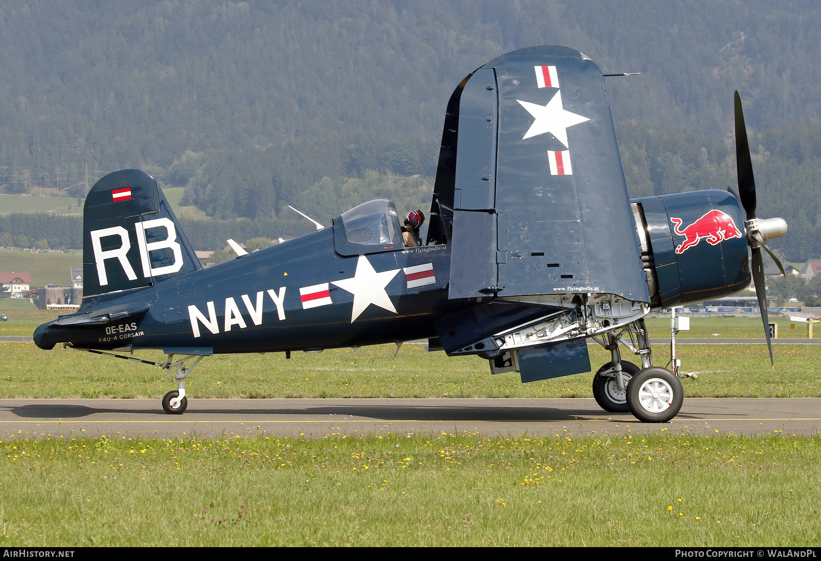 Aircraft Photo of OE-EAS | Vought F4U-4 Corsair | Red Bull | USA - Navy | AirHistory.net #493713