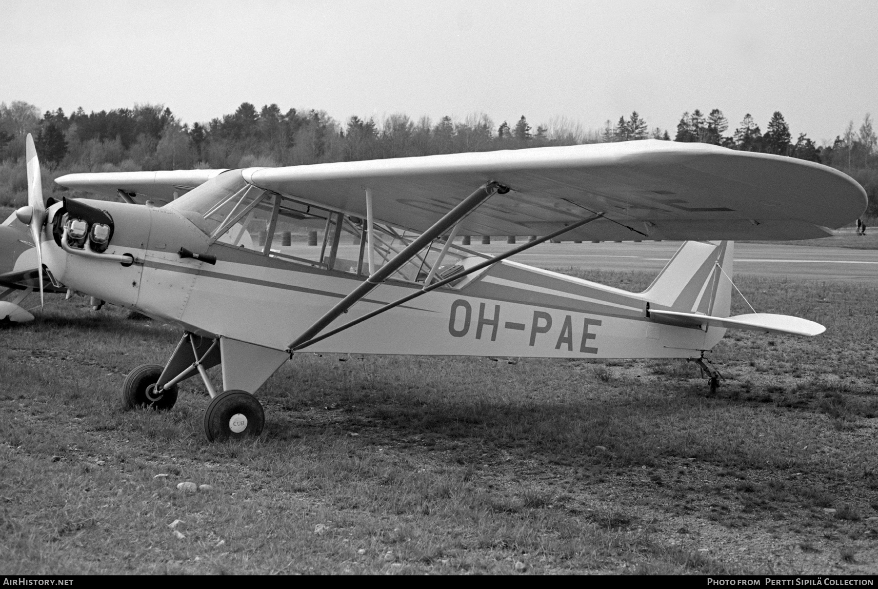 Aircraft Photo of OH-PAE | Piper J-3C-65 Cub | AirHistory.net #493884