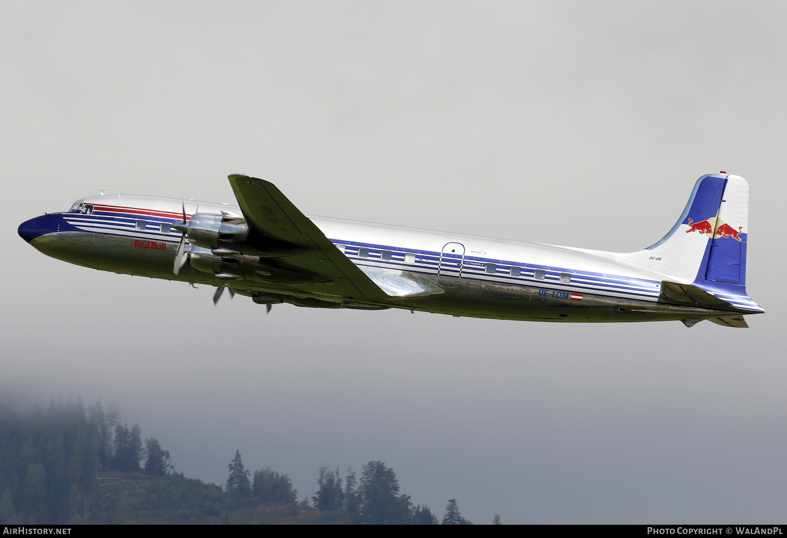 Aircraft Photo of OE-LDM | Douglas DC-6B | Red Bull | AirHistory.net #494936