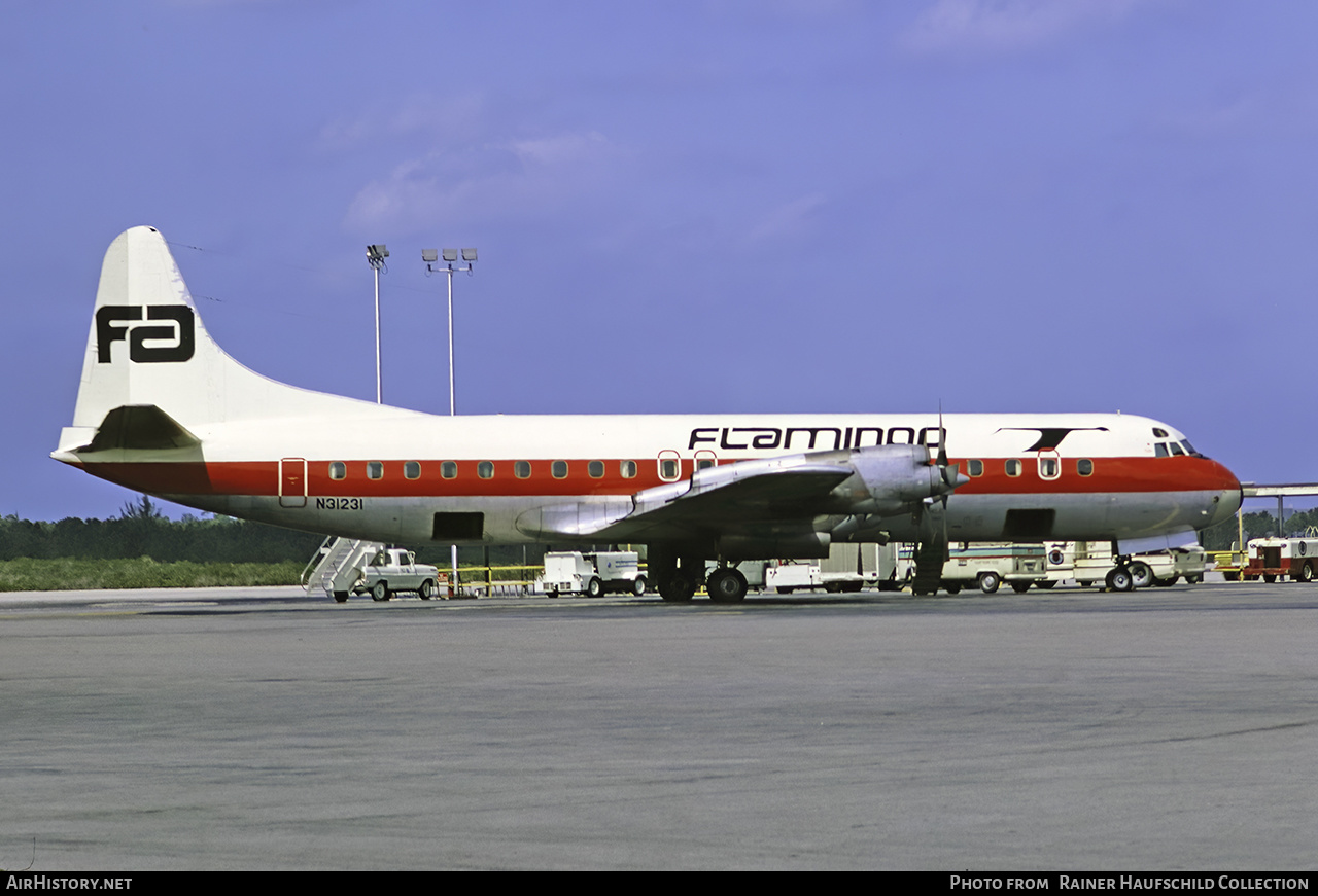 Aircraft Photo of N31231 | Lockheed L-188C Electra | Flamingo Airlines | AirHistory.net #497684