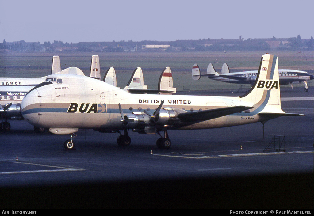 Aircraft Photo of G-APNH | Aviation Traders ATL-98 Carvair | British United Airways - BUA | AirHistory.net #498075