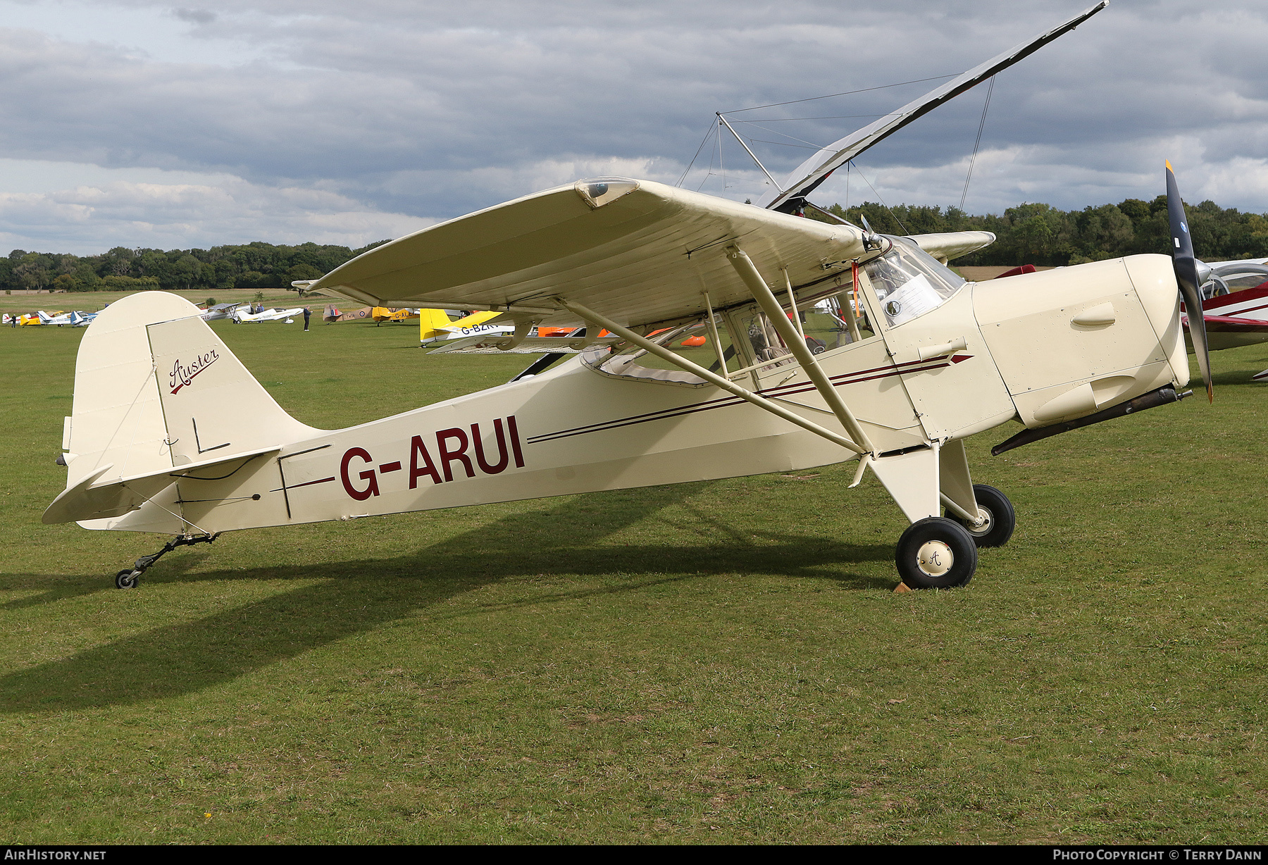 Aircraft Photo of G-ARUI | Beagle A-61 Terrier 1 | AirHistory.net #500425