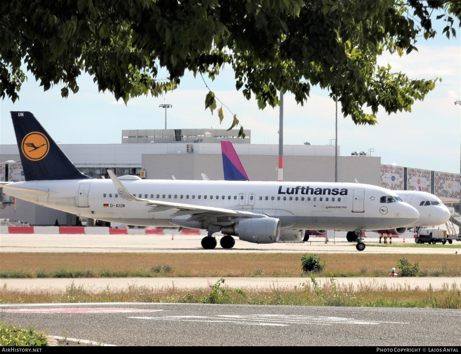 Aircraft Photo of D-AIUM | Airbus A320-214 | Lufthansa | AirHistory.net #501446