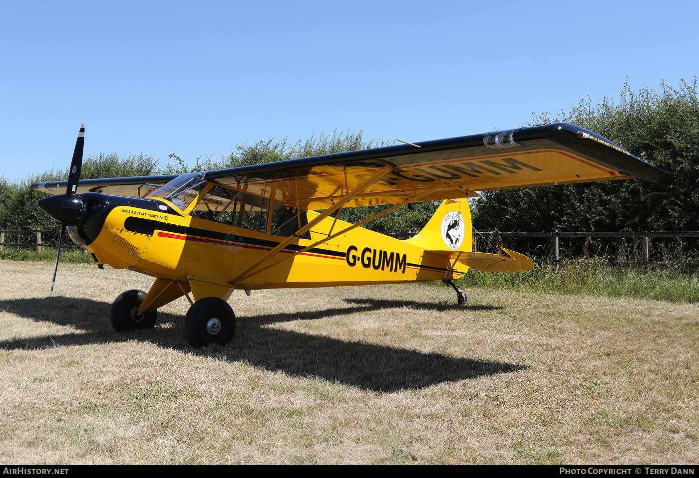 Aircraft Photo of G-GUMM | Aviat A-1B Husky | AirHistory.net #501852