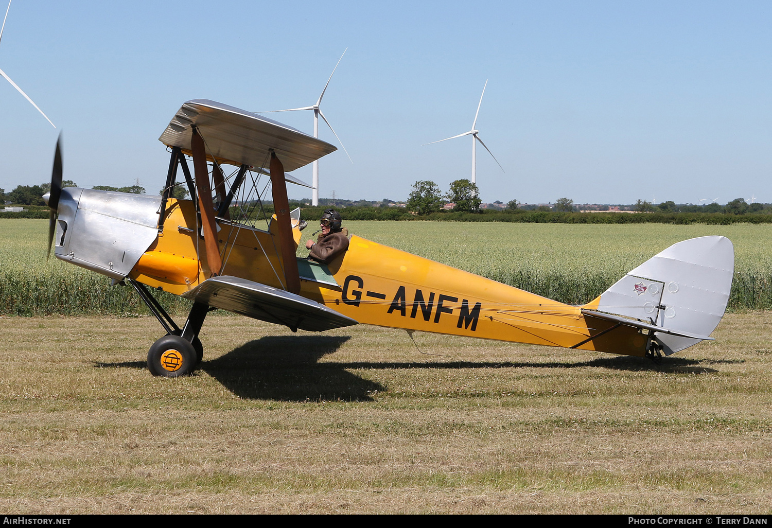Aircraft Photo of G-ANFM | De Havilland D.H. 82A Tiger Moth II | AirHistory.net #501871