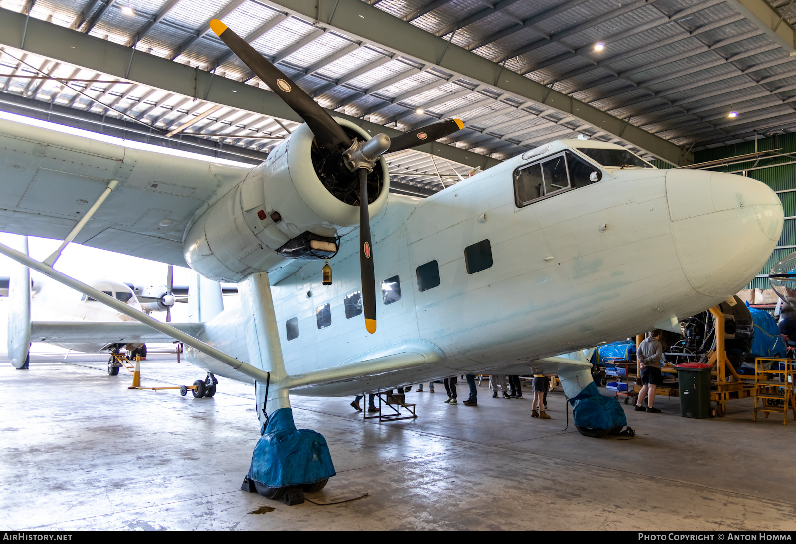 Aircraft Photo of VH-SYS | Scottish Aviation Twin Pioneer Series 3 | AirHistory.net #502919