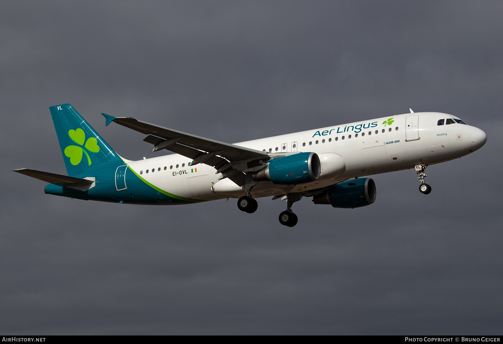 Aircraft Photo of EI-DVL | Airbus A320-214 | Aer Lingus | AirHistory.net #503755