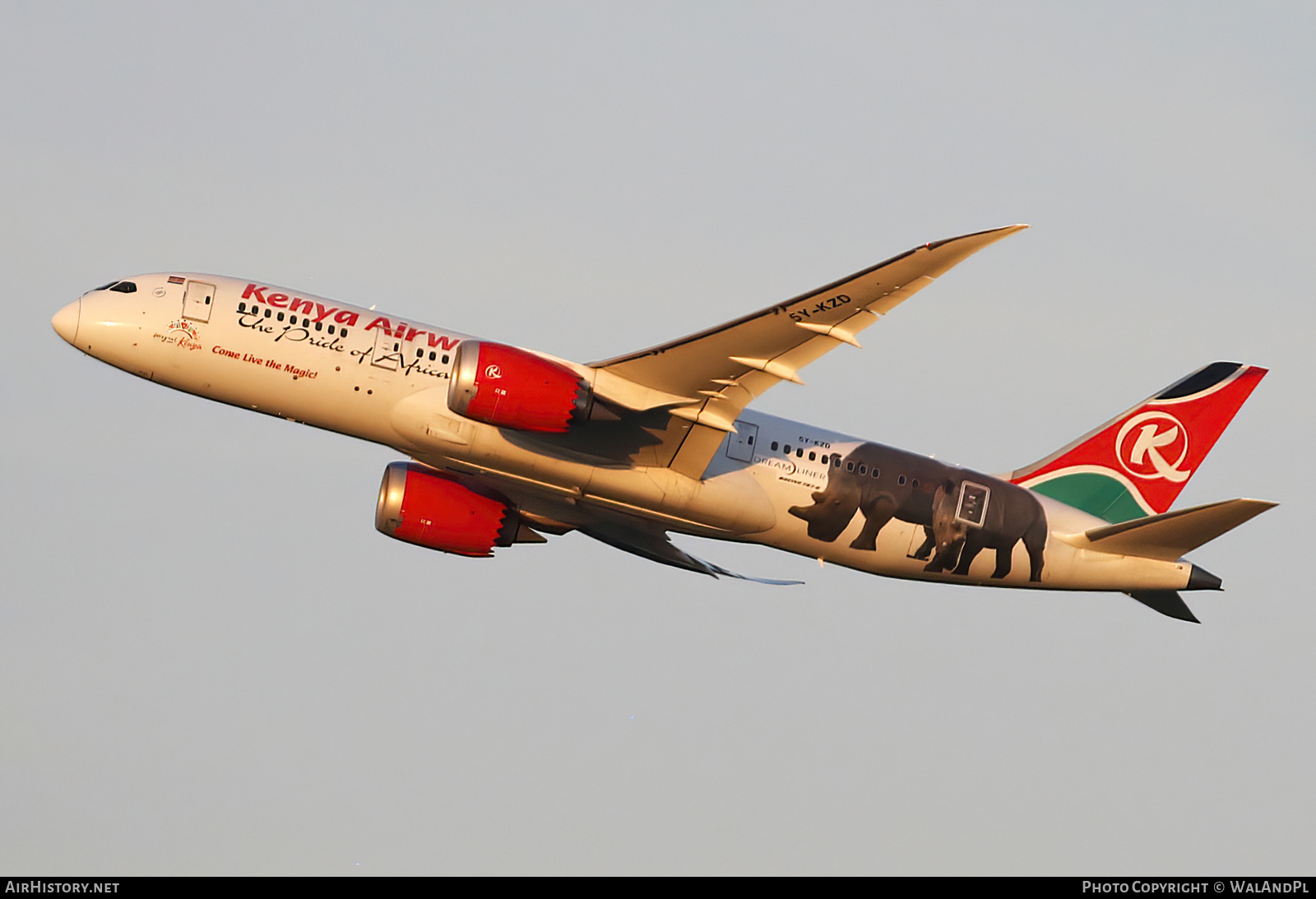 Aircraft Photo of 5Y-KZD | Boeing 787-8 Dreamliner | Kenya Airways | AirHistory.net #504727