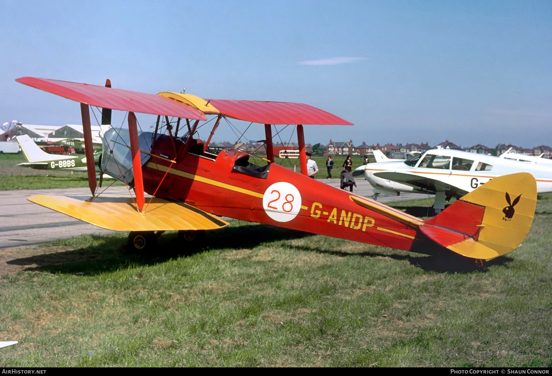 Aircraft Photo of G-ANDP | De Havilland D.H. 82A Tiger Moth | AirHistory.net #504874