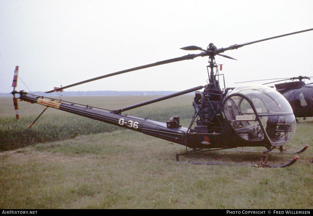 Aircraft Photo of O-36 | Hiller OH-23C Raven (UH-12C) | Netherlands - Air Force | AirHistory.net #506488