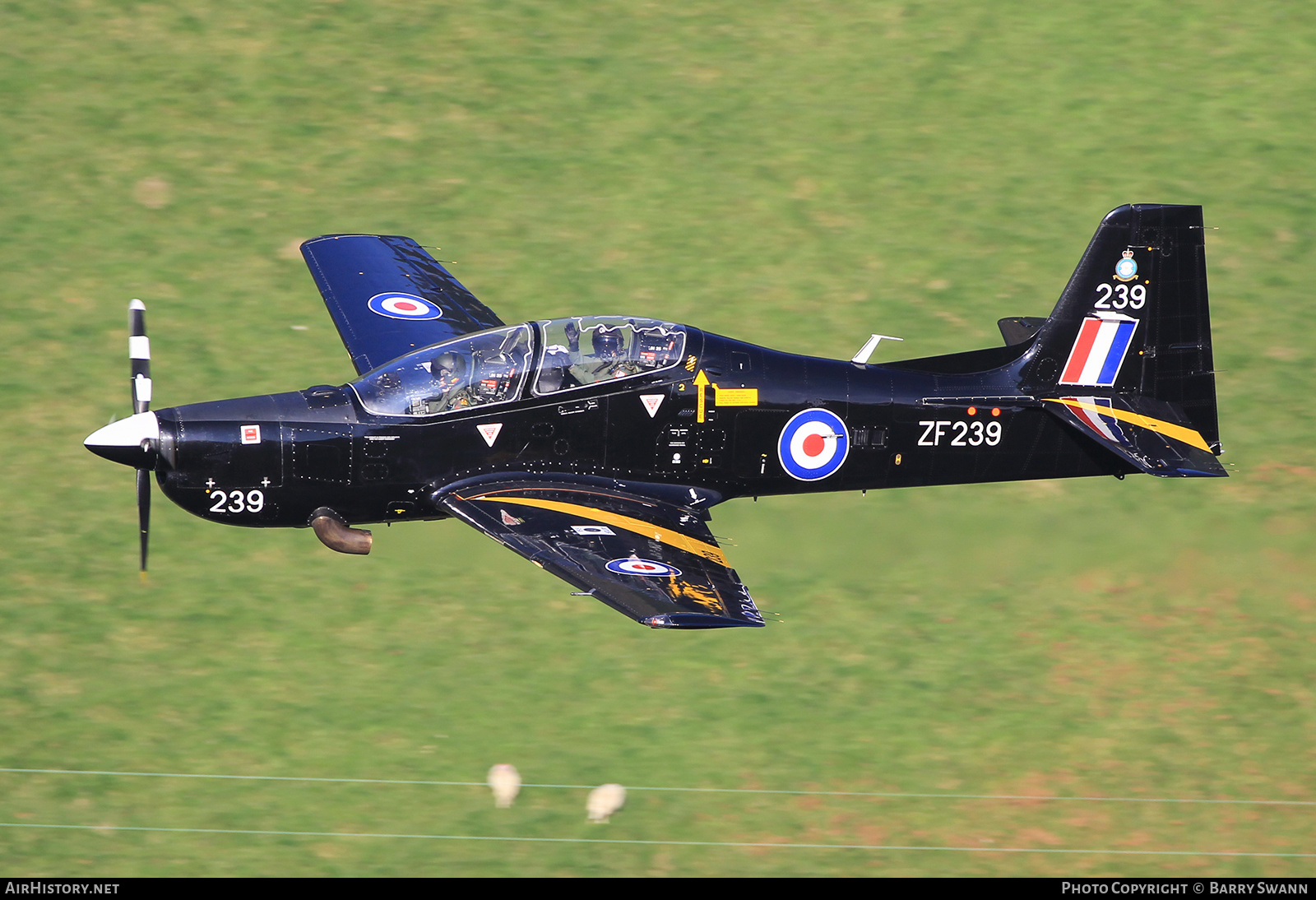 Aircraft Photo of ZF239 | Short S-312 Tucano T1 | UK - Air Force | AirHistory.net #510683