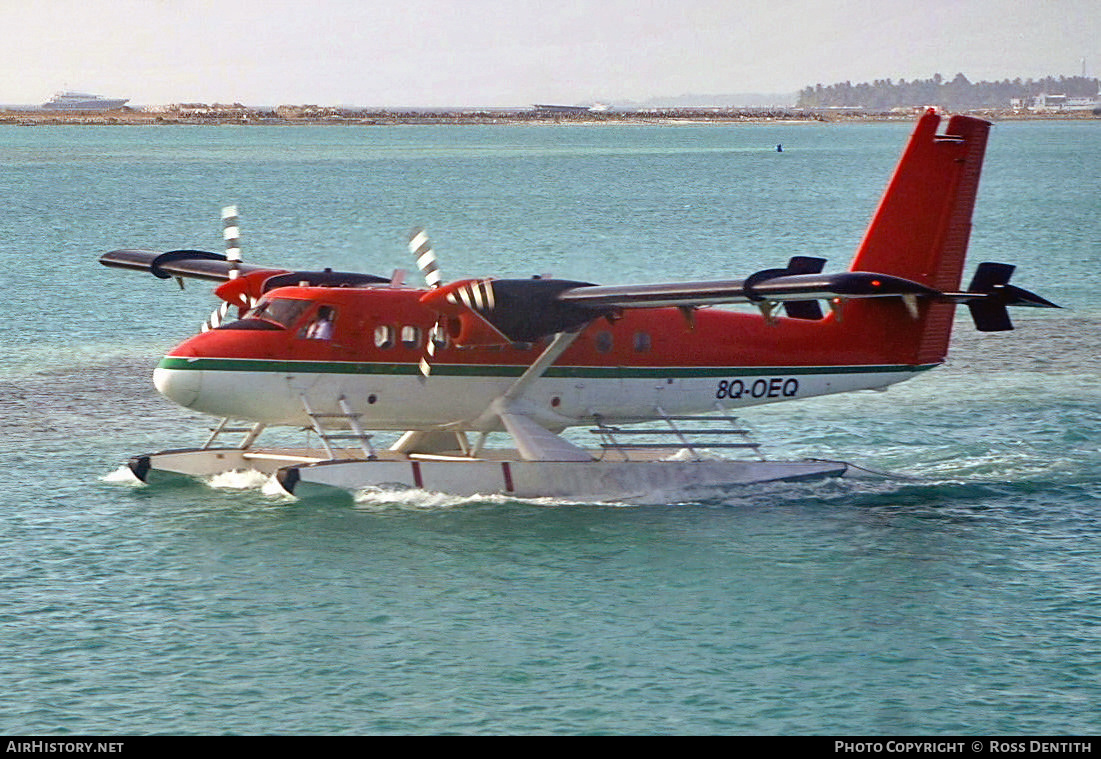 Aircraft Photo of 8Q-OEQ | De Havilland Canada DHC-6-100 Twin Otter | Maldivian Air Taxi | AirHistory.net #511869