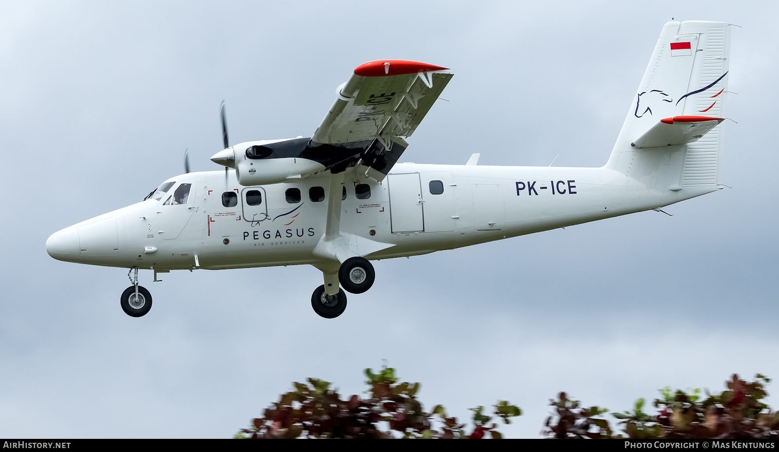 Aircraft Photo of PK-ICE | Viking DHC-6-400 Twin Otter | Pegasus Air Services | AirHistory.net #511893