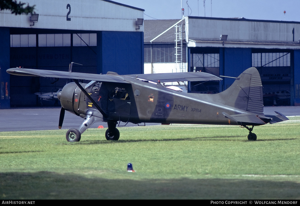 Aircraft Photo of XP814 | De Havilland Canada DHC-2 Beaver AL.1 | UK - Army | AirHistory.net #514235