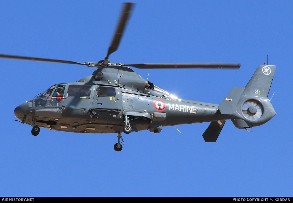 Aircraft Photo of 81 | Aerospatiale SA-365N Dauphin 2 | France - Navy | AirHistory.net #514609