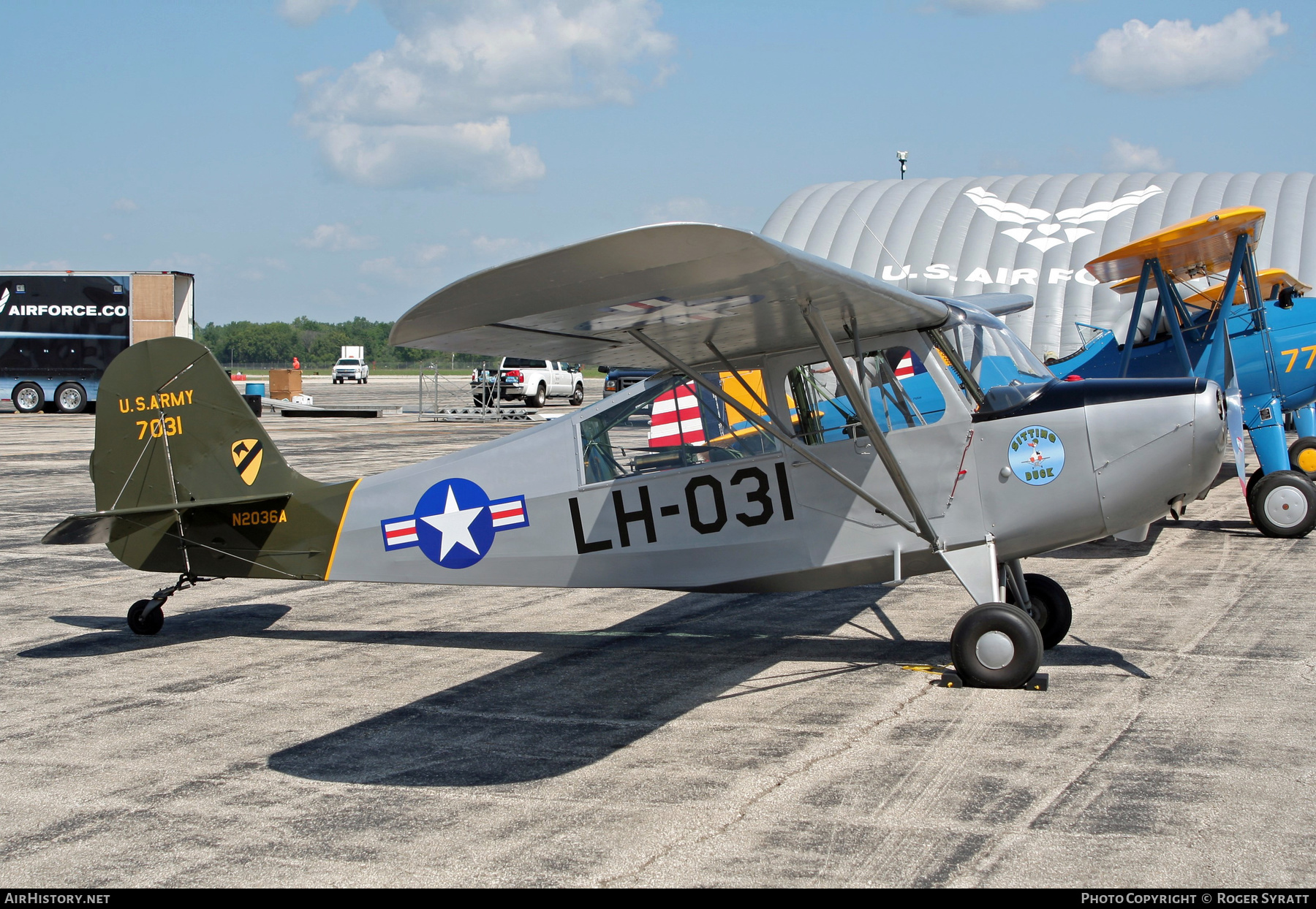 Aircraft Photo of N2036A / 7031 | Aeronca 7BCM Champion | USA - Army | AirHistory.net #514869