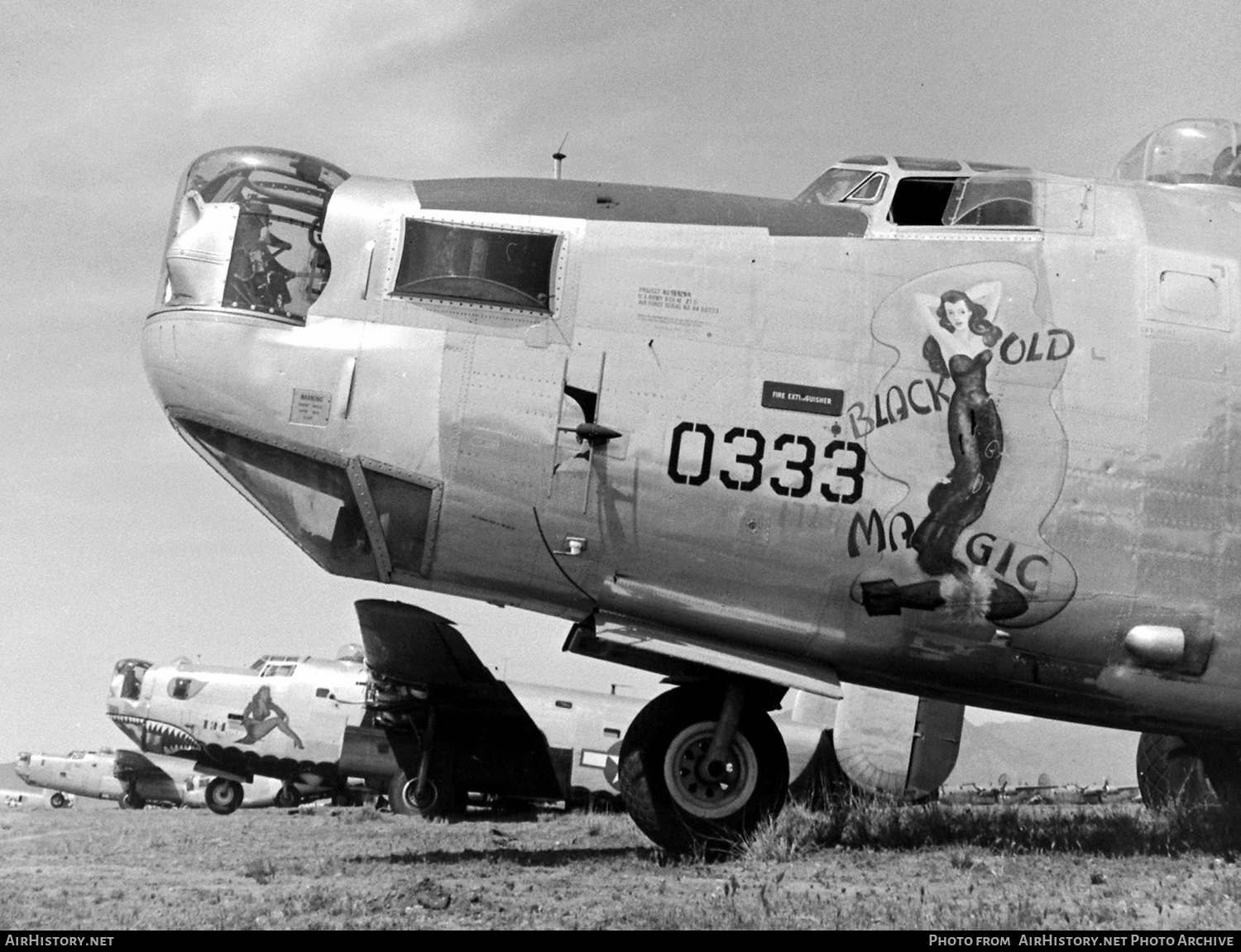 Aircraft Photo of 44-50333 | Consolidated B-24M Liberator | USA - Air Force | AirHistory.net #515233