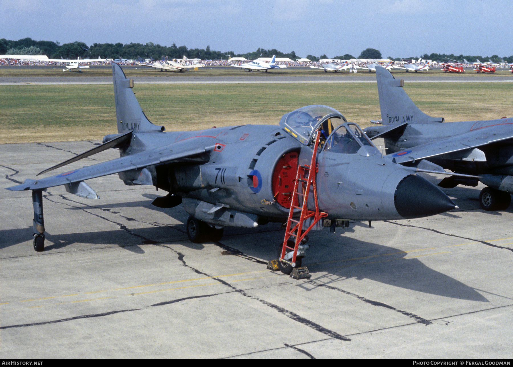 Aircraft Photo of XZ491 | British Aerospace Sea Harrier FRS1 | UK - Navy | AirHistory.net #515346
