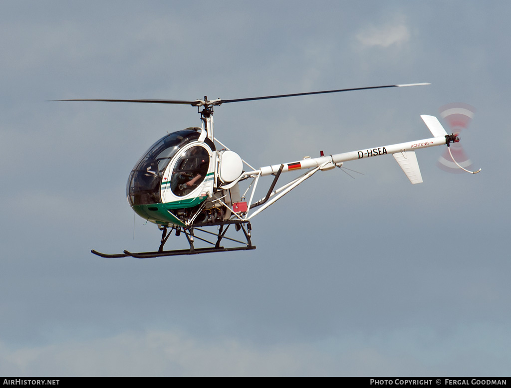 Aircraft Photo of D-HSEA | Schweizer 269C | AirHistory.net #515382