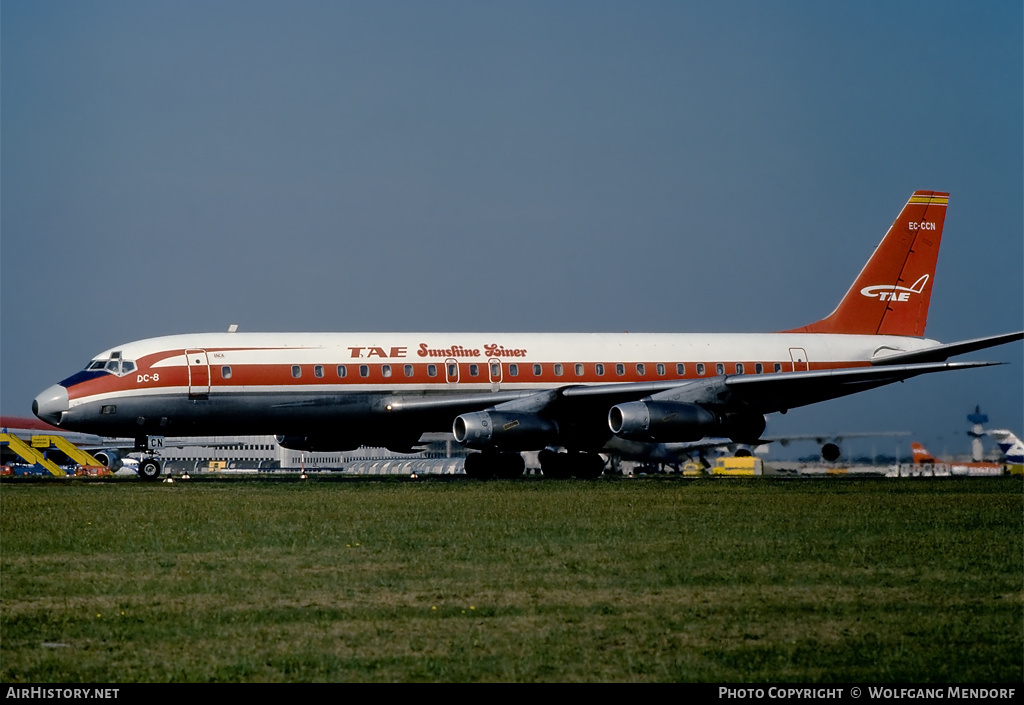 Aircraft Photo of EC-CCN | Douglas DC-8-33 | TAE - Trabajos Aéreos y Enlaces | AirHistory.net #517357