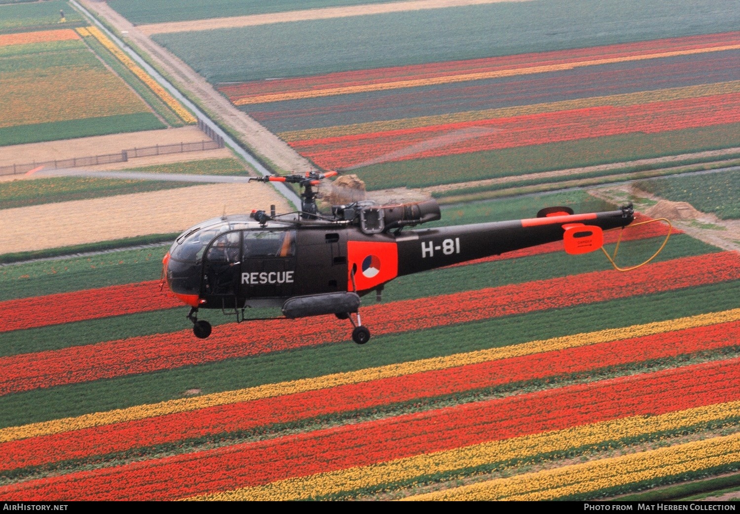 Aircraft Photo of H-81 | Sud SE-3160 Alouette III | Netherlands - Air Force | AirHistory.net #517415