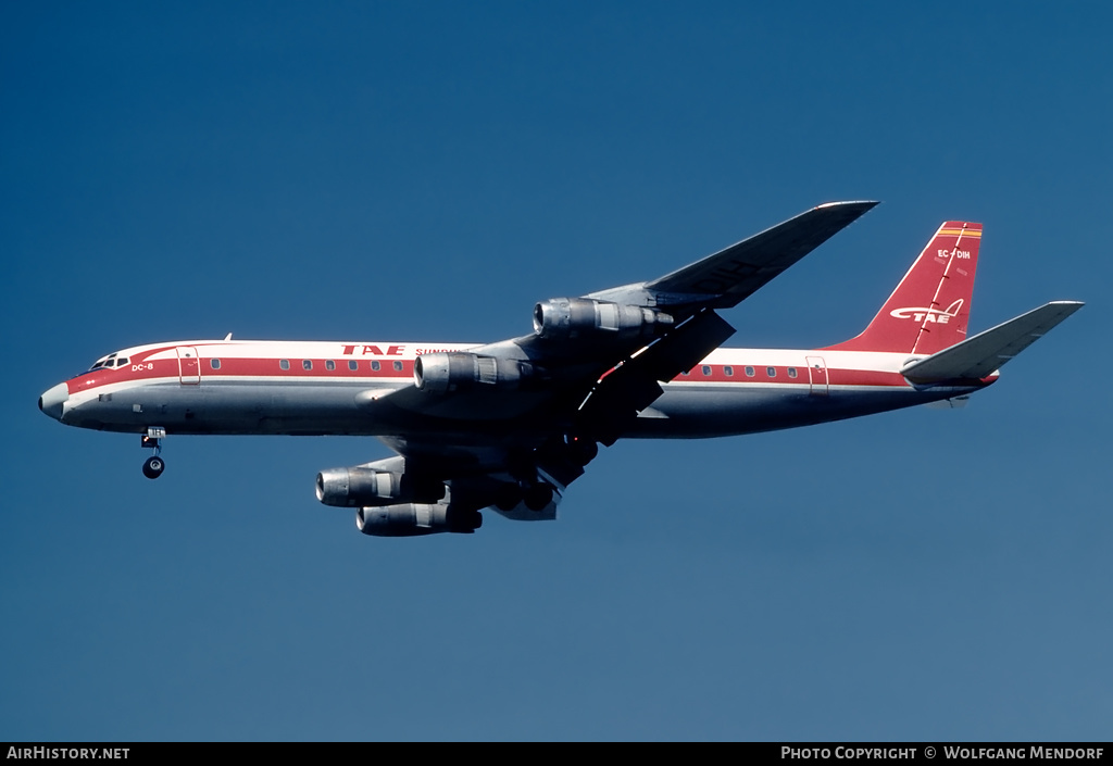 Aircraft Photo of EC-DIH | Douglas DC-8-55 | TAE - Trabajos Aéreos y Enlaces | AirHistory.net #518350