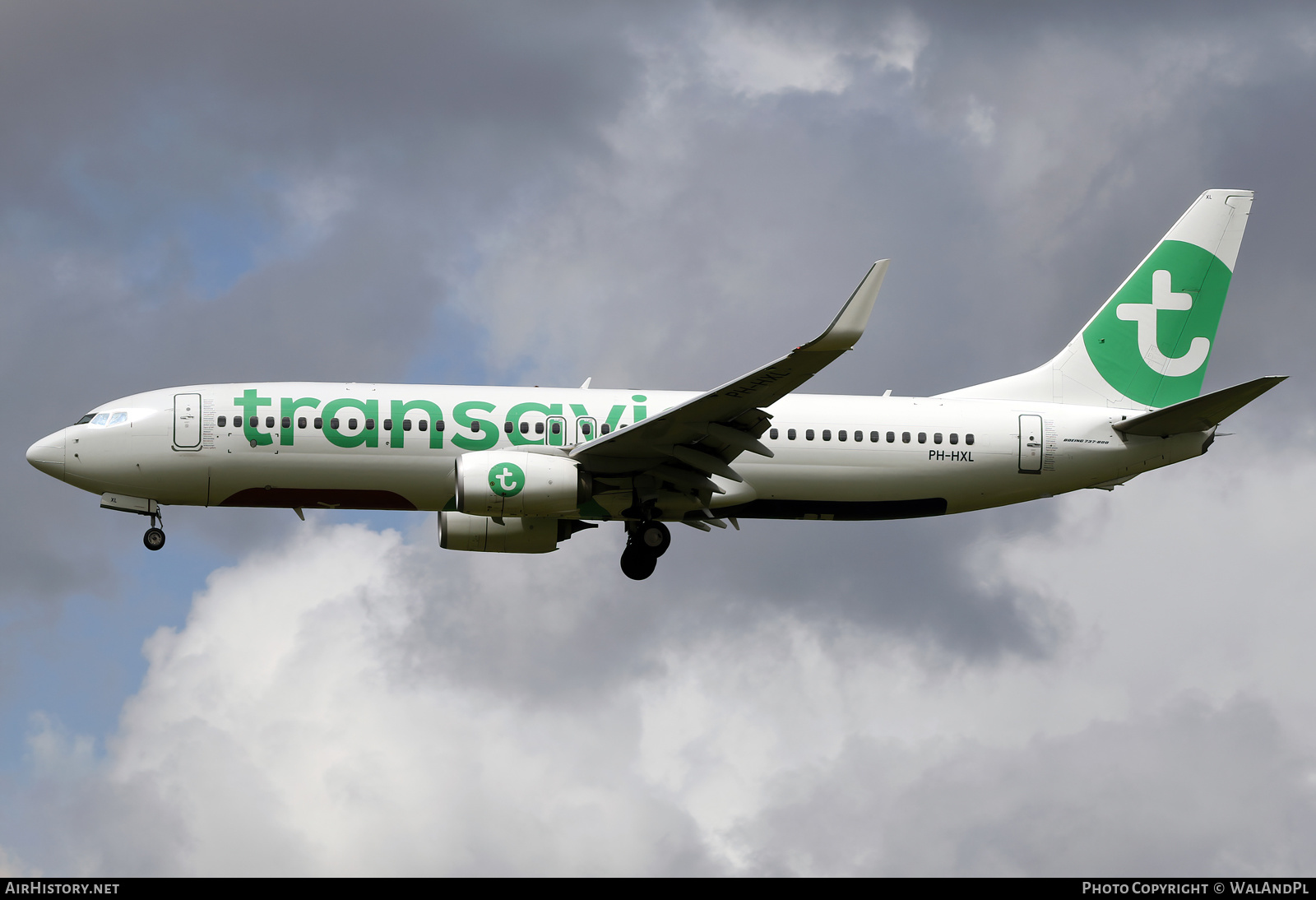 Aircraft Photo of PH-HXL | Boeing 737-800 | Transavia | AirHistory.net #519298