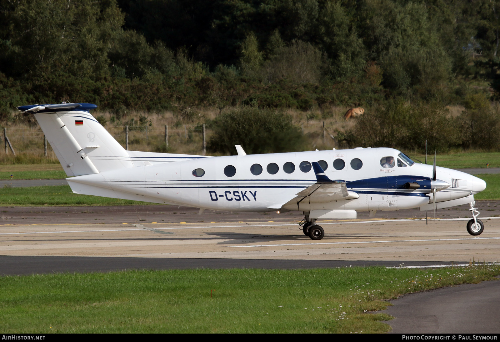 Aircraft Photo of D-CSKY | Beech Super King Air 350 (B300) | AirHistory.net #520265