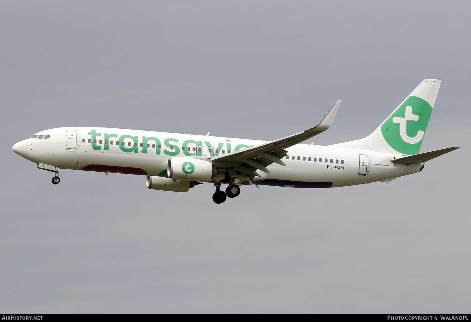 Aircraft Photo of PH-HXM | Boeing 737-800 | Transavia | AirHistory.net #520337