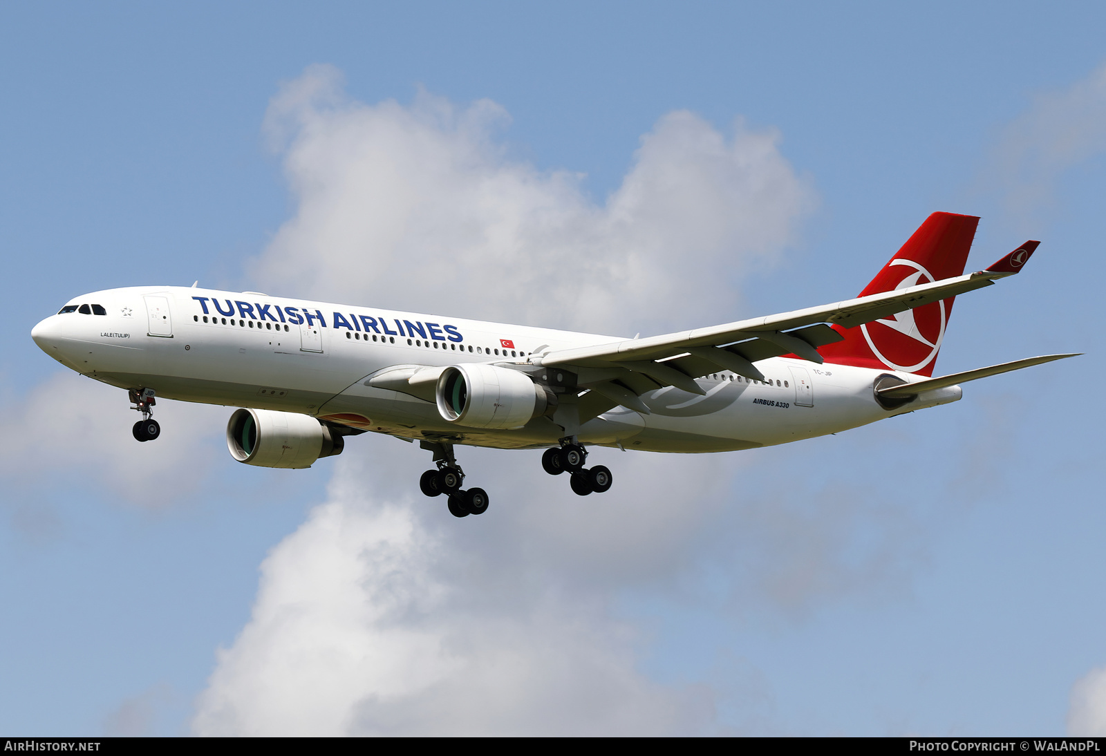 Aircraft Photo of TC-JIP | Airbus A330-223 | Turkish Airlines | AirHistory.net #520345