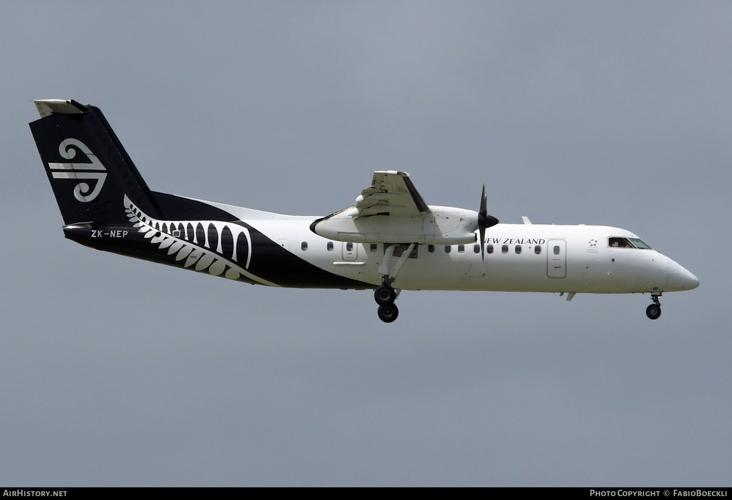 Aircraft Photo of ZK-NEP | De Havilland Canada DHC-8-300 Dash 8 | Air New Zealand | AirHistory.net #520638