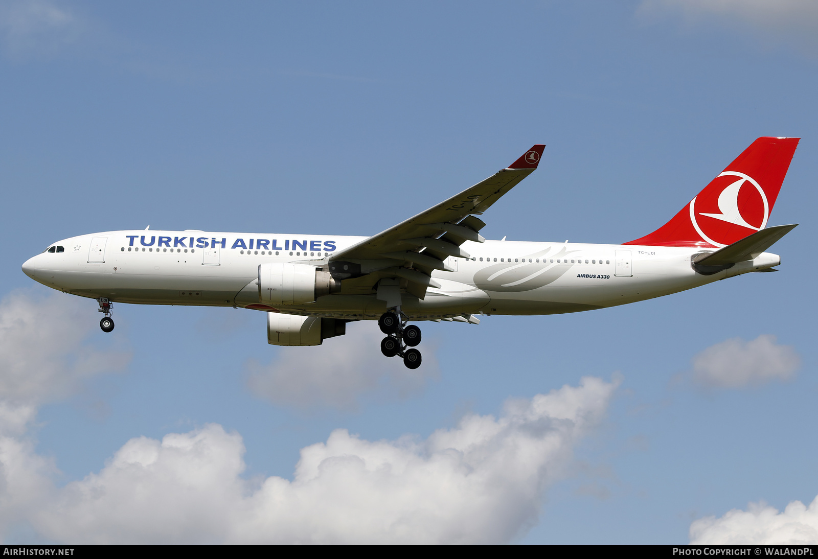 Aircraft Photo of TC-LOI | Airbus A330-223 | Turkish Airlines | AirHistory.net #521148