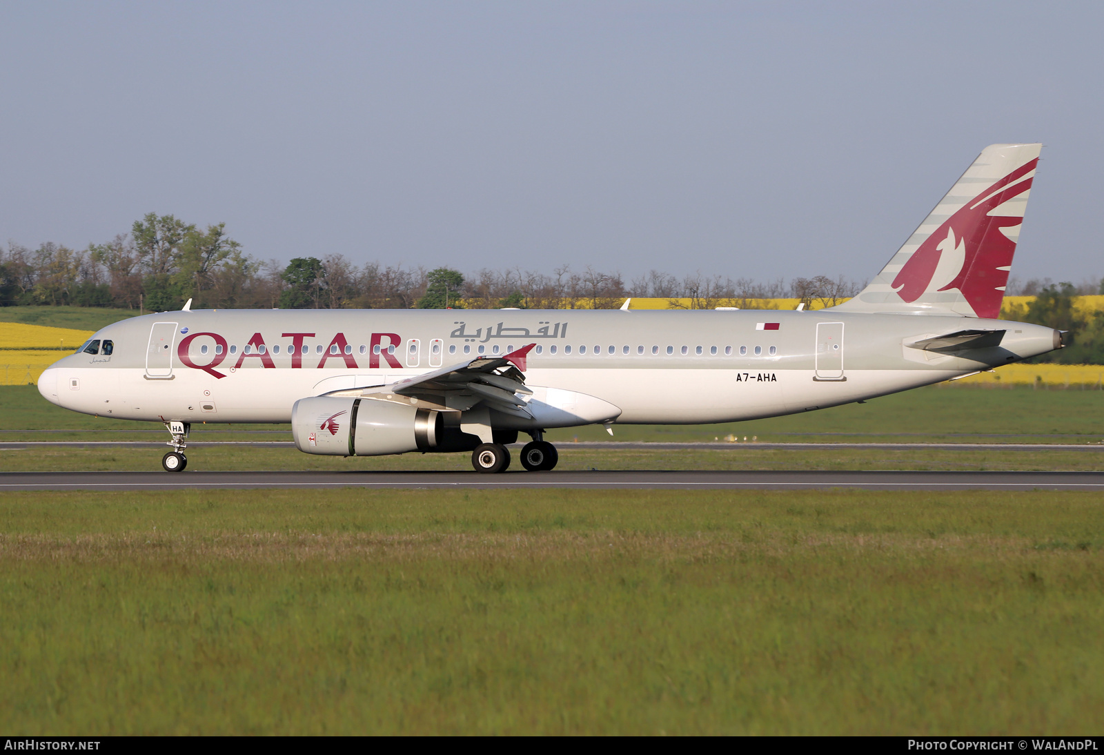 Aircraft Photo of A7-AHA | Airbus A320-232 | Qatar Airways | AirHistory.net #521416