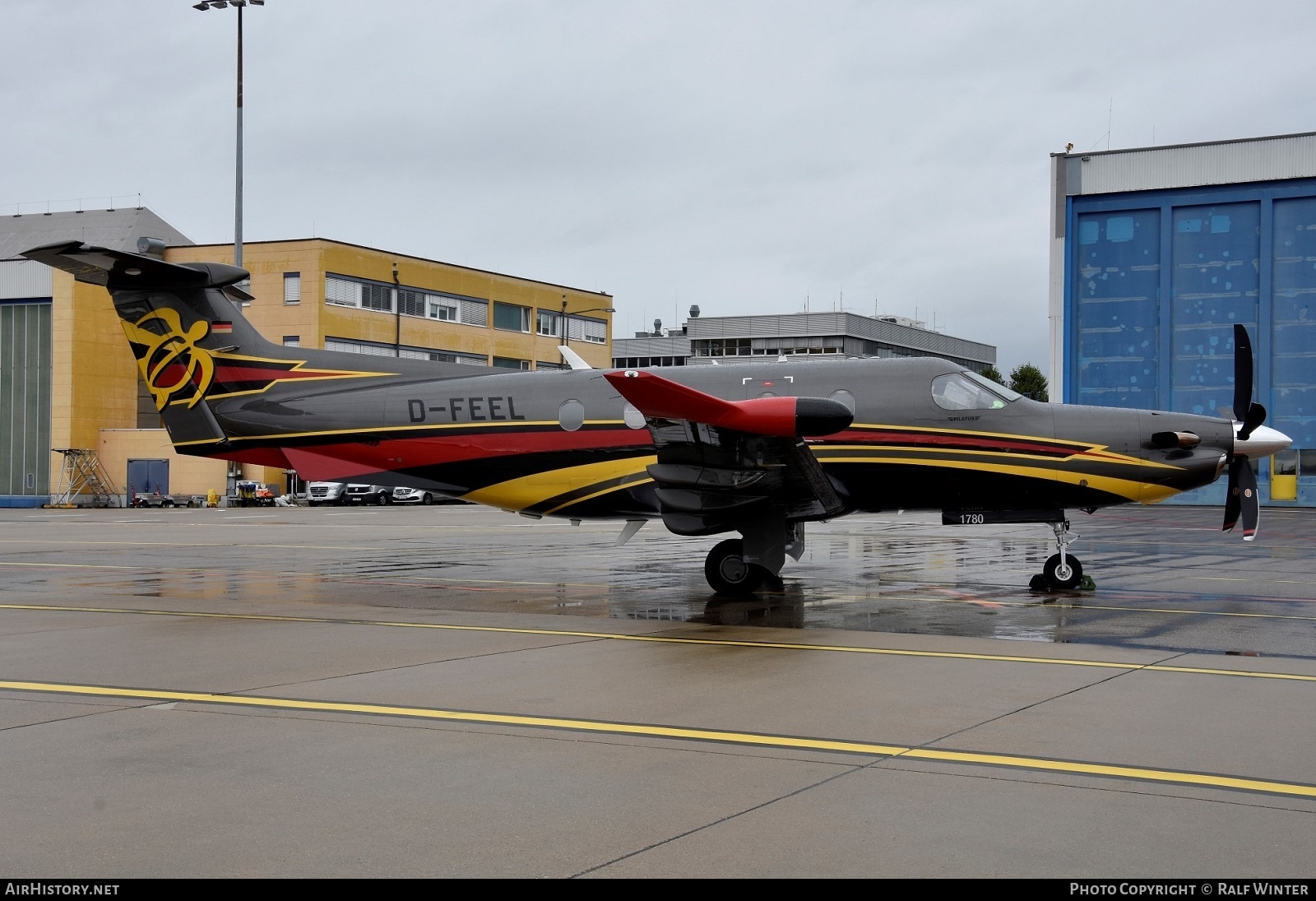 Aircraft Photo of D-FEEL | Pilatus PC-12NG (PC-12/47E) | AirHistory.net #522114