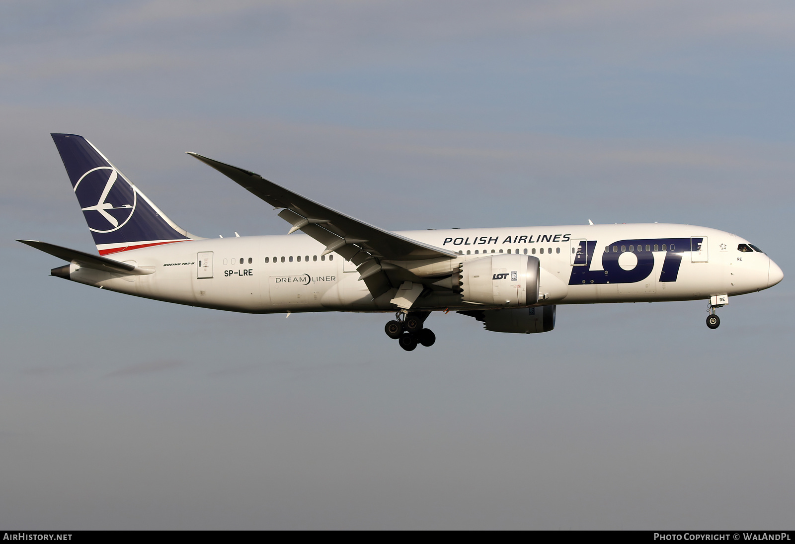 Aircraft Photo of SP-LRE | Boeing 787-8 Dreamliner | LOT Polish Airlines - Polskie Linie Lotnicze | AirHistory.net #522540