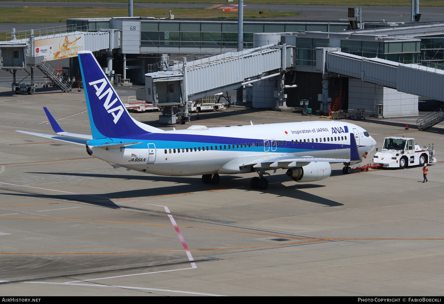 Aircraft Photo of JA66AN | Boeing 737-881 | All Nippon Airways - ANA | AirHistory.net #523083