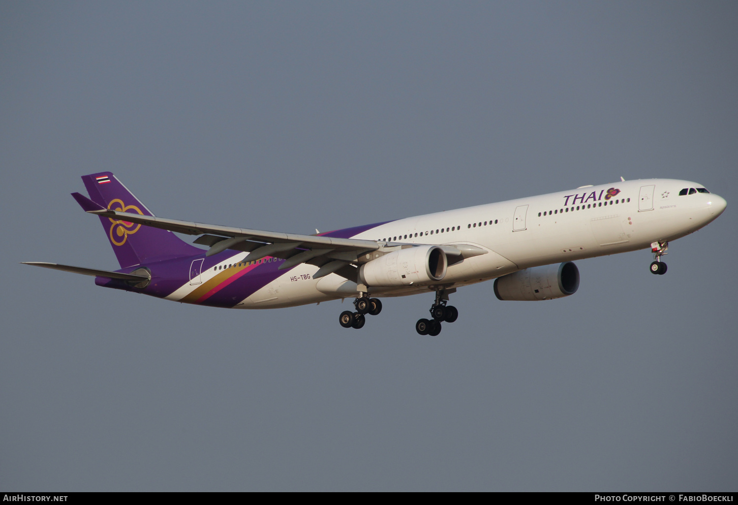 Aircraft Photo of HS-TBG | Airbus A330-343 | Thai Airways International | AirHistory.net #524548
